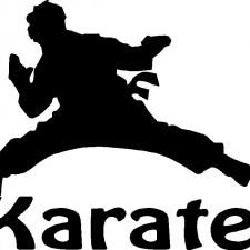 Begynde til Karate